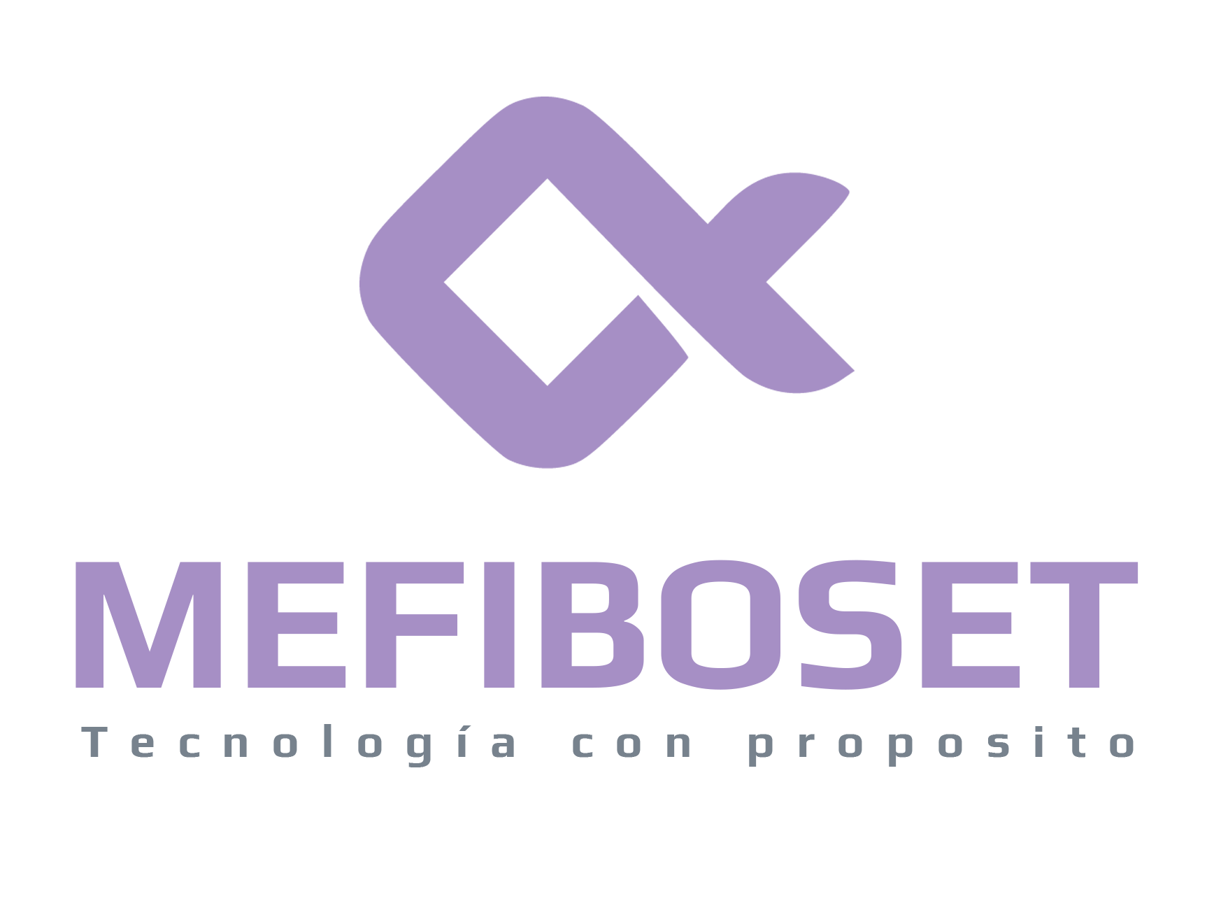 Mefiboset - Soluciones Digitales